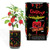 Challenge Carolina Reaper Pepper Plant - 1,500,000 SHU