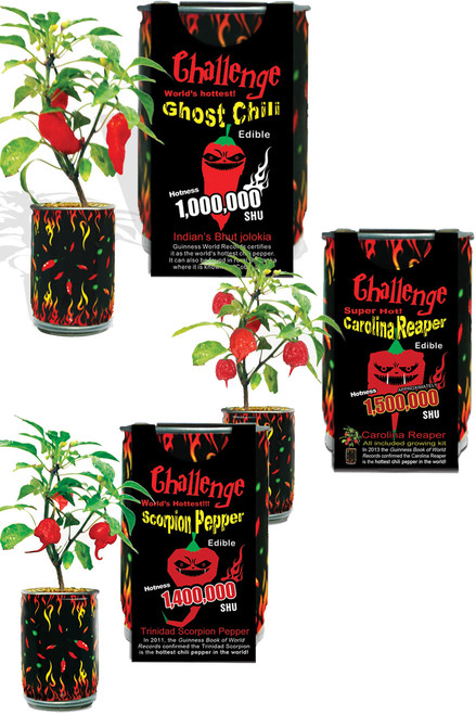 Magic Pepper Hottest Plants Gift Set, 3/Pepper Plants